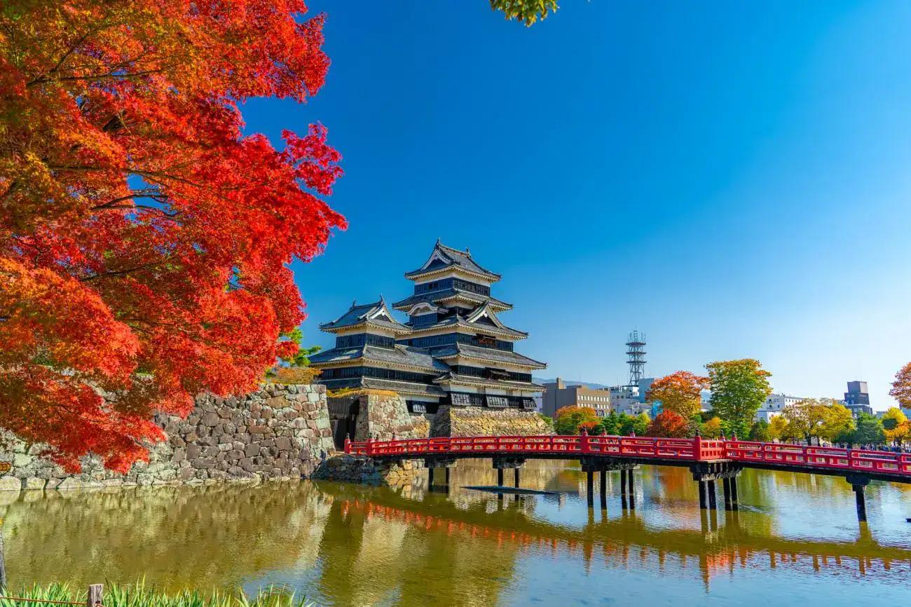 Discover Japan (With Flights)